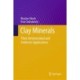 Clay Minerals: Their Antimicrobial and Antitoxic Applications