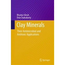 Clay Minerals: Their Antimicrobial and Antitoxic Applications