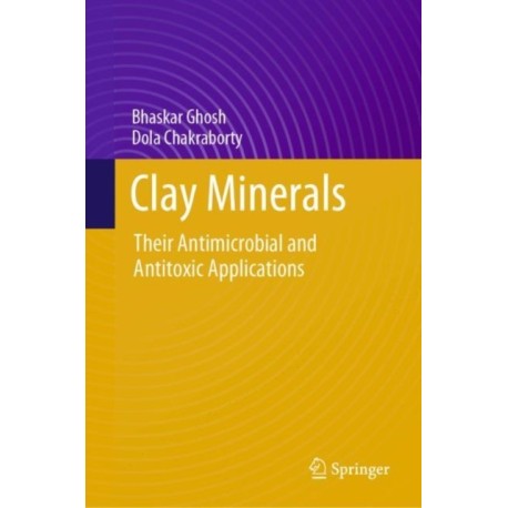 Clay Minerals: Their Antimicrobial and Antitoxic Applications