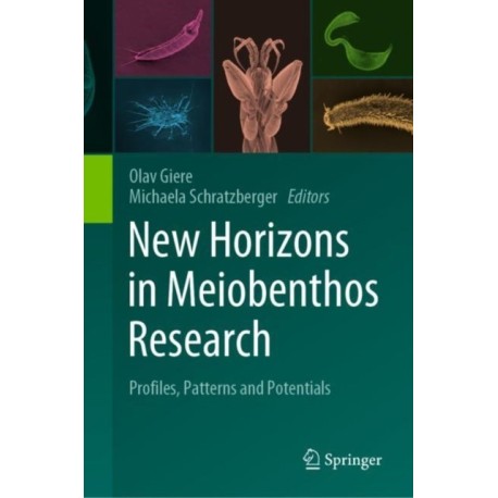 New Horizons in Meiobenthos Research: Profiles, Patterns and Potentials