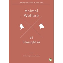 Animal Welfare at Slaughter