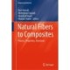 Natural Fibers to Composites: Process, Properties, Structures
