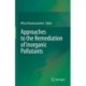 Approaches to the Remediation of Inorganic Pollutants