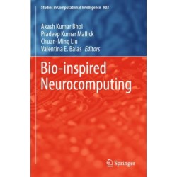 Bio-inspired Neurocomputing