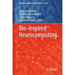 Bio-inspired Neurocomputing