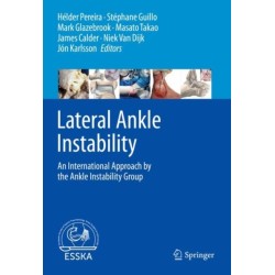 Lateral Ankle Instability: An International Approach by the Ankle Instability Group
