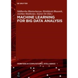 Machine Learning for Big Data Analysis