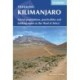 Kilimanjaro: Ascent preparations, practicalities and trekking routes to the 'Roof of Africa'