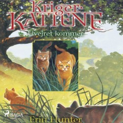 Krigerkattene 4: Uvejret kommer