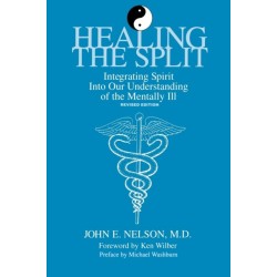 Healing the Split: Integrating Spirit Into Our Understanding of the Mentally Ill, Revised Edition