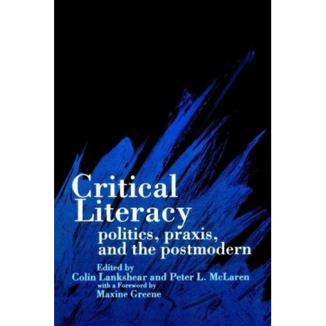 Critical Literacy: Politics, Praxis, and the Postmodern