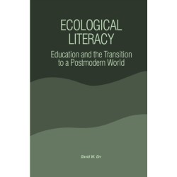 Ecological Literacy: Education and the Transition to a Postmodern World
