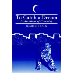 To Catch A Dream: Explorations of Dreaming