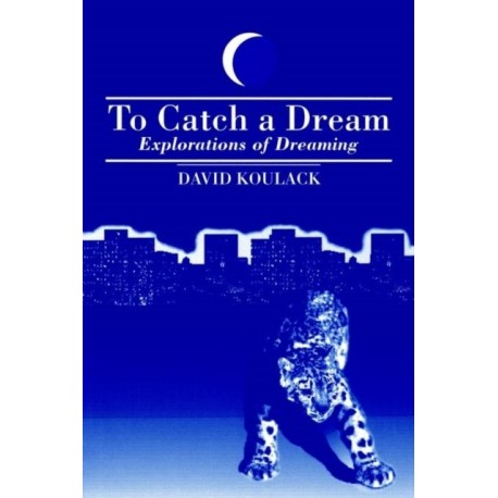 To Catch A Dream: Explorations of Dreaming