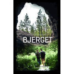 Bjerget