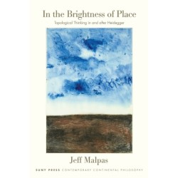 In the Brightness of Place: Topological Thinking with and After Heidegger