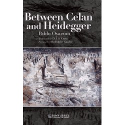 Between Celan and Heidegger