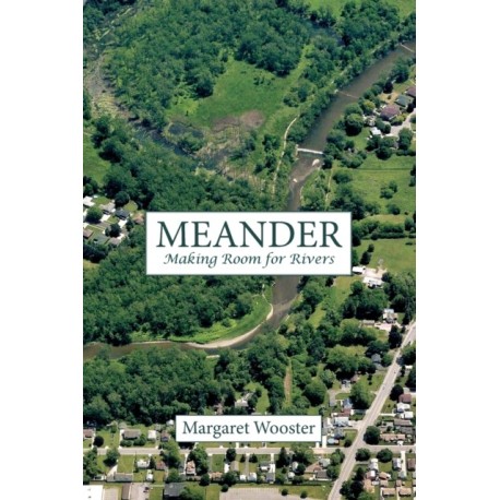 Meander: Making Room for Rivers