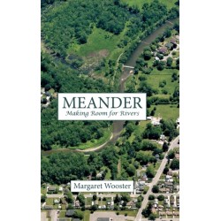 Meander: Making Room for Rivers