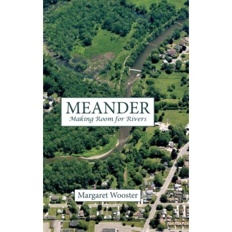 Meander: Making Room for Rivers