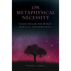 On Metaphysical Necessity: Essays on God, the World, Morality, and Democracy