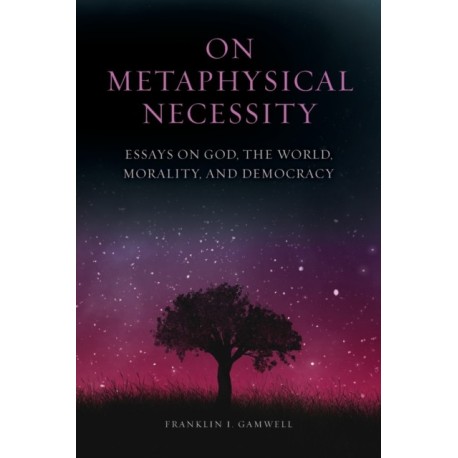 On Metaphysical Necessity: Essays on God, the World, Morality, and Democracy