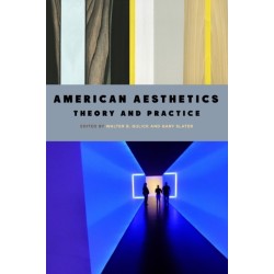 American Aesthetics: Theory and Practice