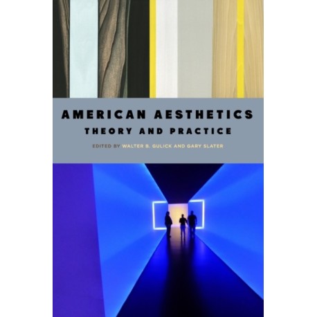 American Aesthetics: Theory and Practice