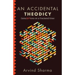 An Accidental Theodicy: Genuflexions on a Fractured Knee