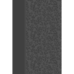The Passion Translation New Testament with Psalms, Proverbs and Song of Songs (2020 Edn) Grey Leather