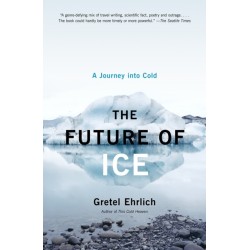 The Future of Ice: A Journey Into Cold