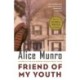 Friend of My Youth: Stories