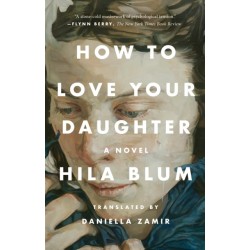 How to Love Your Daughter: A Novel