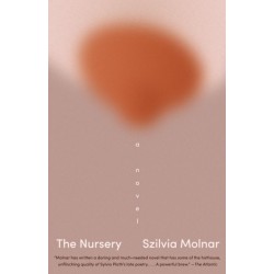 The Nursery: A Novel