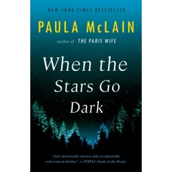When the Stars Go Dark: A Novel