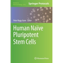 Human Naive Pluripotent Stem Cells