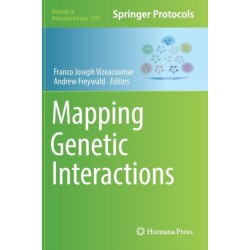 Mapping Genetic Interactions