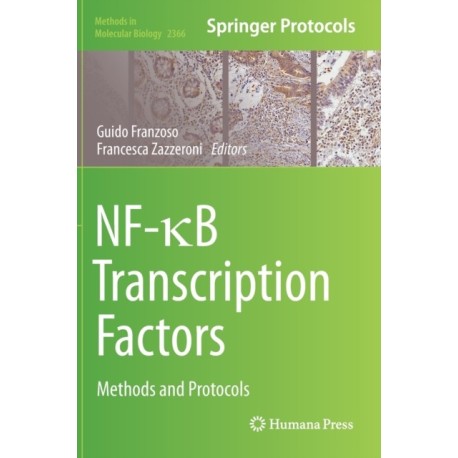 NF-?B Transcription Factors: Methods and Protocols