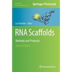 RNA Scaffolds: Methods and Protocols