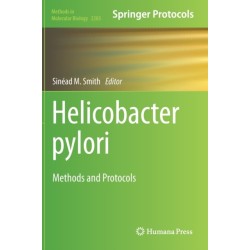 Helicobacter Pylori