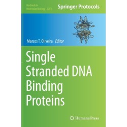 Single Stranded DNA Binding Proteins