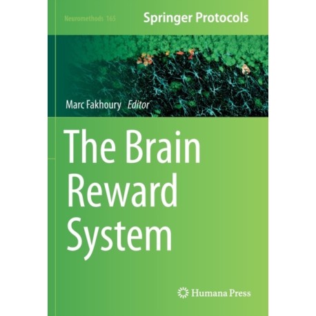 The Brain Reward System