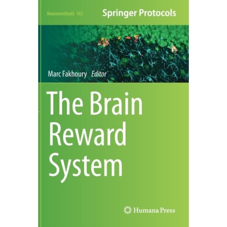 The Brain Reward System