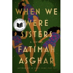 When We Were Sisters: A Novel
