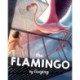 The Flamingo: A Graphic Novel Chapter Book