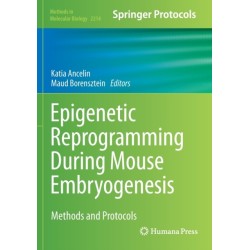 Epigenetic Reprogramming During Mouse Embryogenesis: Methods and Protocols