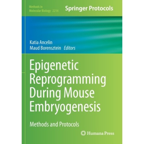 Epigenetic Reprogramming During Mouse Embryogenesis: Methods and Protocols