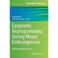 Epigenetic Reprogramming During Mouse Embryogenesis: Methods and Protocols