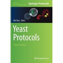 Yeast Protocols