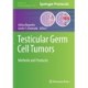 Testicular Germ Cell Tumors: Methods and Protocols